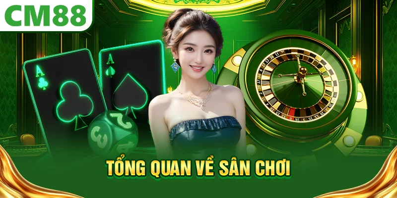 Tổng quan về sân chơi